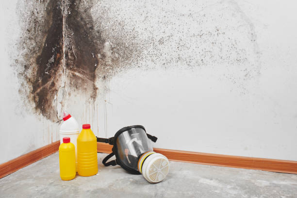 Best Biohazard Mold Removal  in Conyers, GA