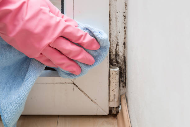 Best Mold Odor Removal Services  in Conyers, GA